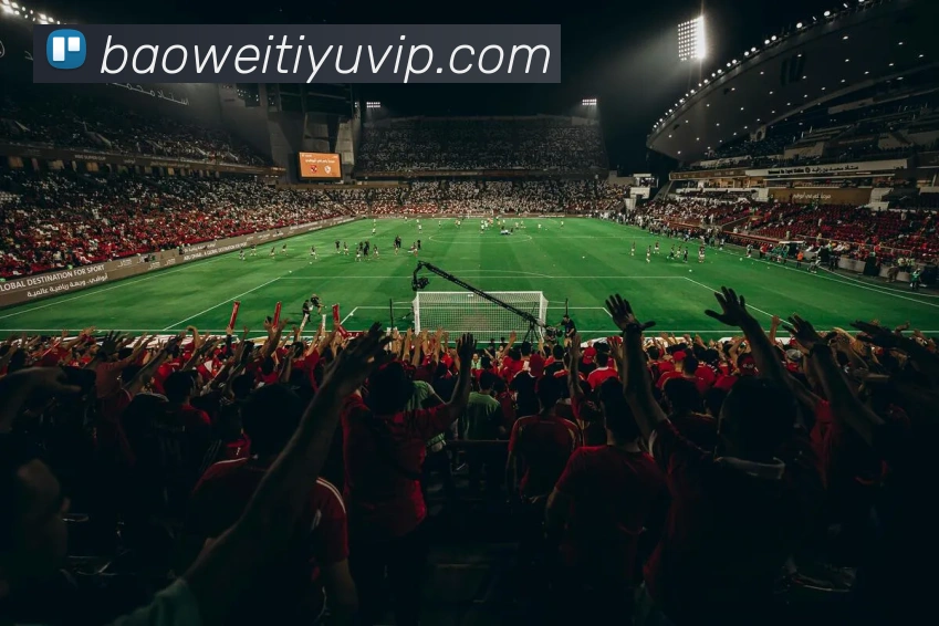 宝威体育平台生态图